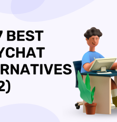Best Many chat Alternative