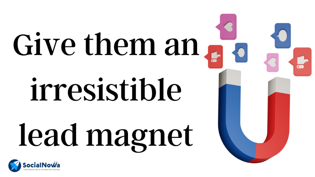 Give them an irresistible lead magnet