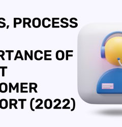 Types, Process And Importance Of Great Customer Support (2022)